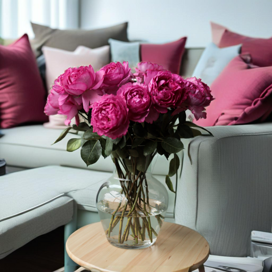 Yves Piaget (12stuks)