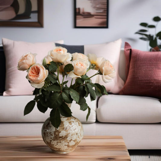 David Austin Juliet (12stuks)