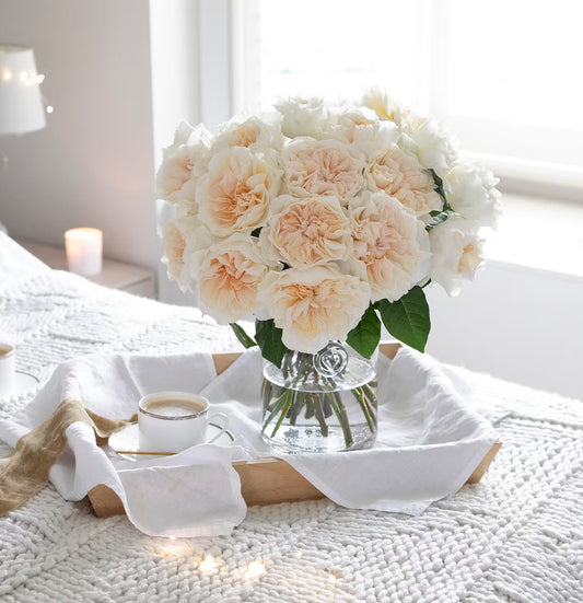 David Austin Eugenie (12stuks)