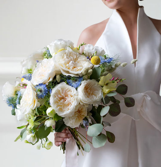 David Austin Eugenie (12stuks)