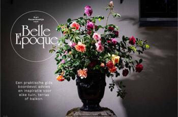 Ontvang het Belle Epoque rozenboekje - Belle Epoque rozen