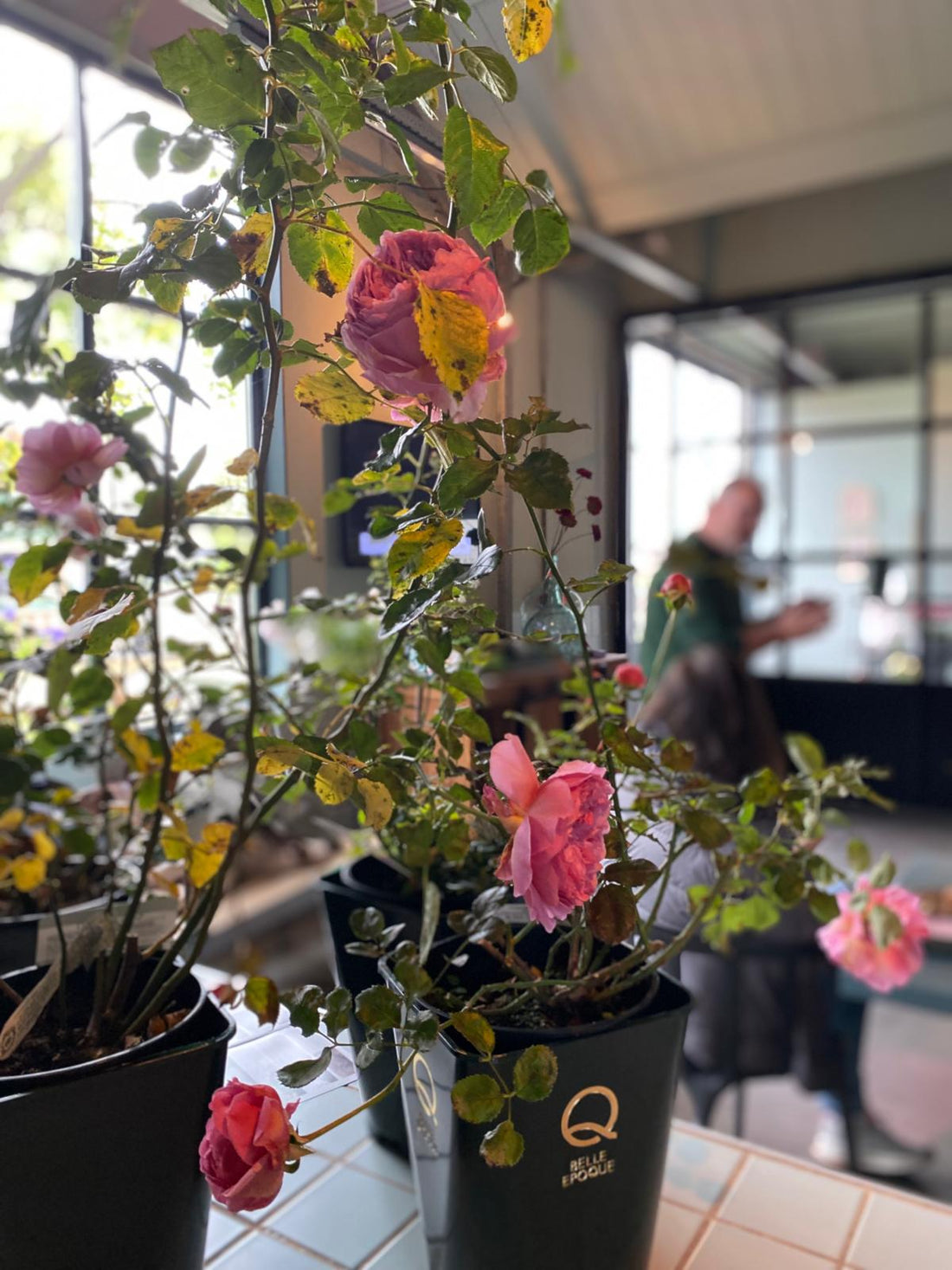 Workshop rose pruning at Belle Epoque – March 2026