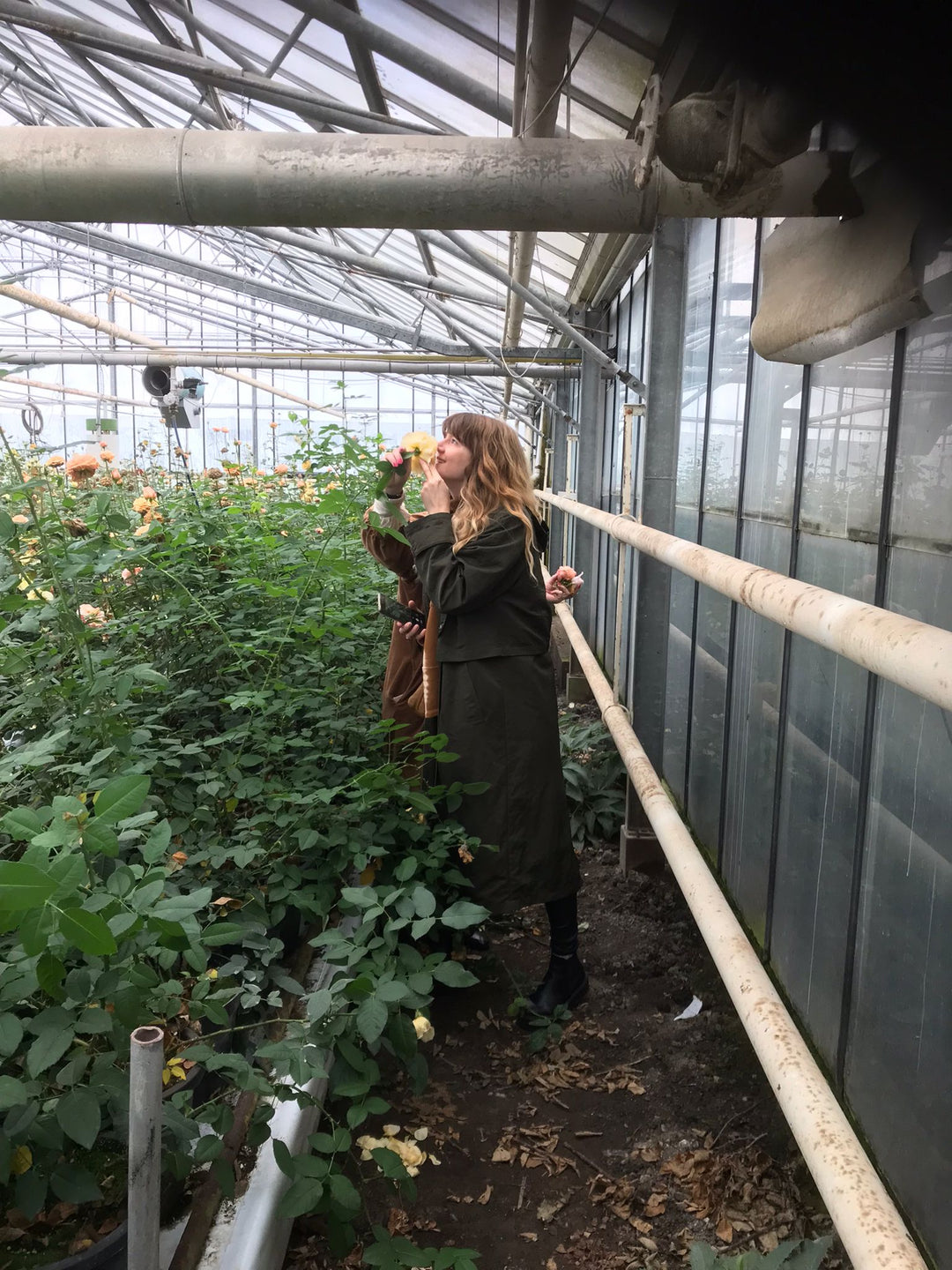 Bezoek een authentieke rozenkwekerij in Aalsmeer – exclusief bij Belle Epoque (april)