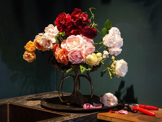 Een bloeiend voorjaar begint in de herfst - Belle Epoque