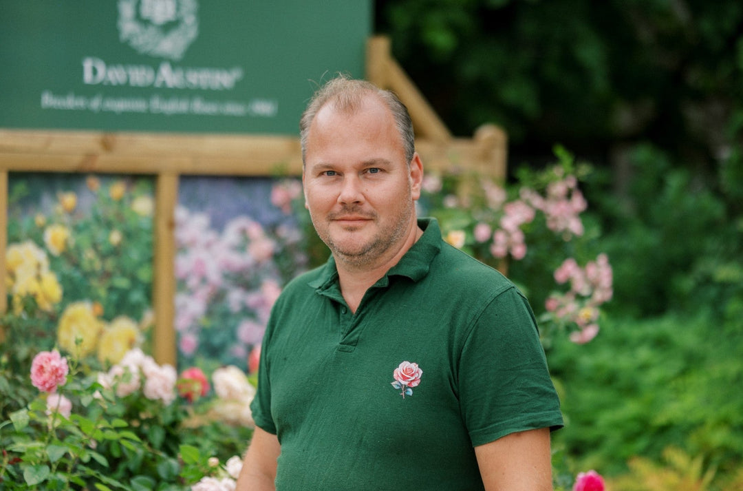 De 12 mooiste klimrozen volgens Wouter