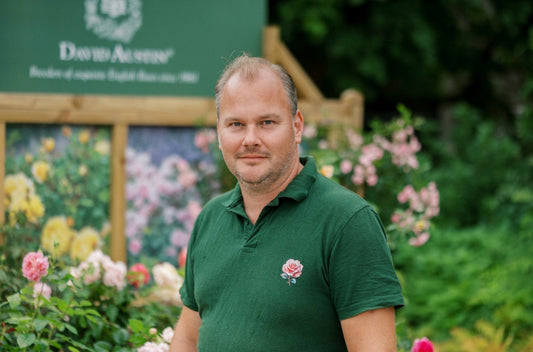 De 10 mooiste stamrozen volgens Wouter