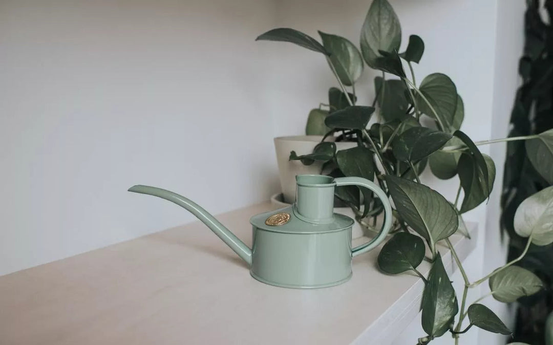 Haws Tuitgieter Salie Groen 0.5 liter