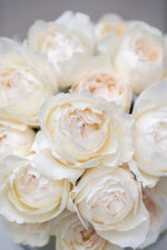 Yves Piaget Creme