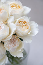 Yves Piaget Creme