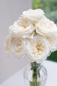 White O Hara