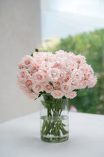 Majolika Pink
