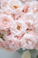 Majolika Pink
