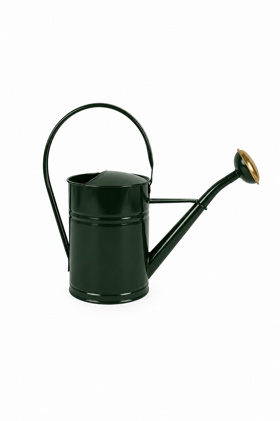 Watering can 9 liters galvanized green