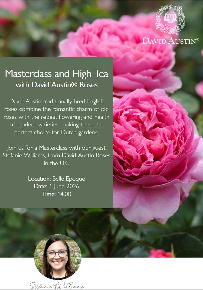 Masterclass and High Tea with David Austin Roses (English) | 1 juni | 14.00 uur