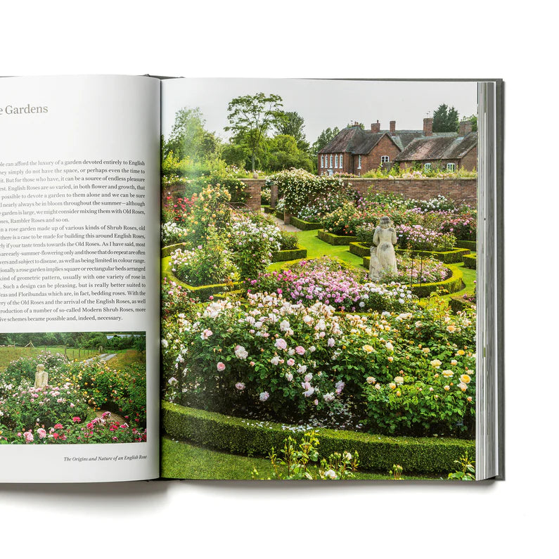 David Austin's English Roses Book