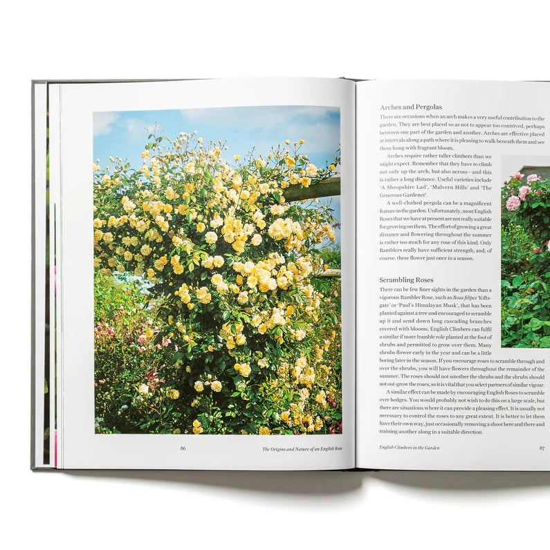 David Austin's English Roses Book