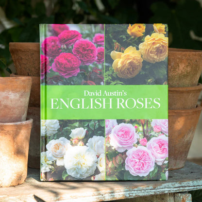 Das englische Rosenbuch