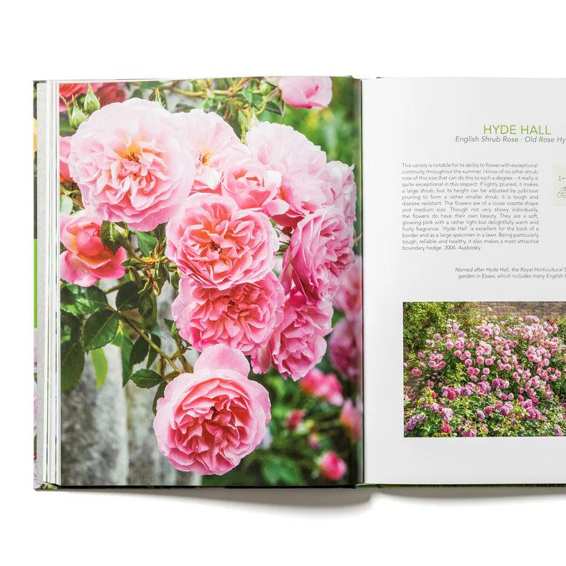 The English Roses Book