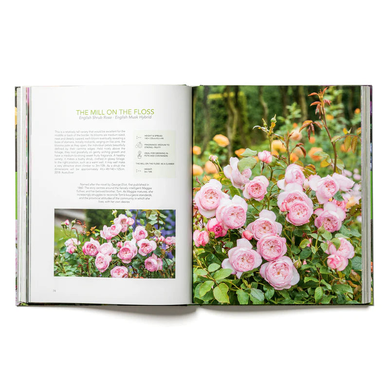 The English Roses Book