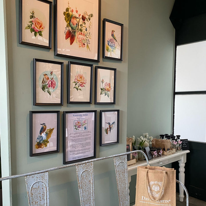 Atelier Aquarelle - Samedi 16 mai | 11h00