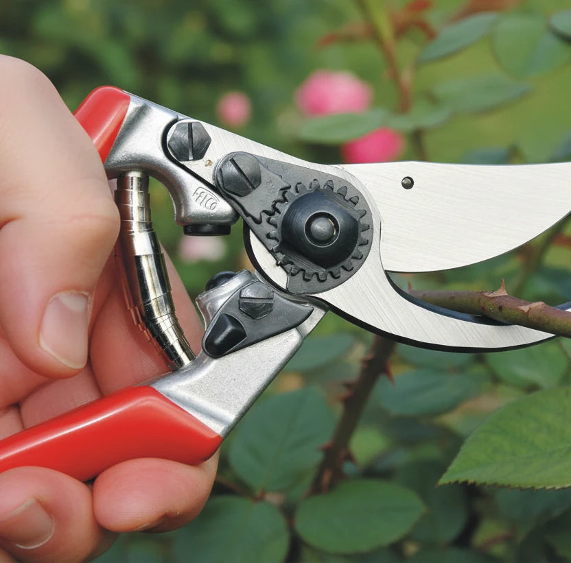 Professionelle Gartenschere Felco (Linkshänder)
