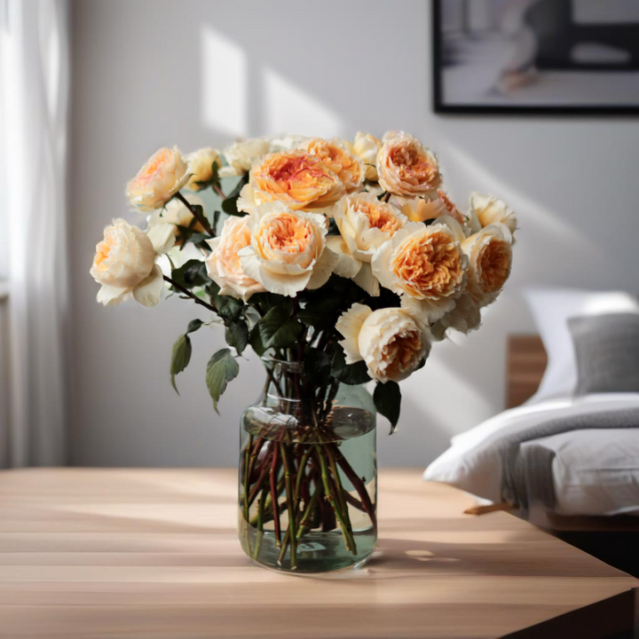 David Austin Beatrice (12stuks)