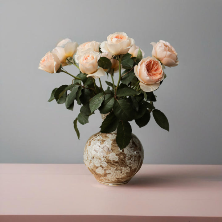 David Austin Juliet  (12stuks)