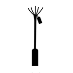 Minerva (standard rose)