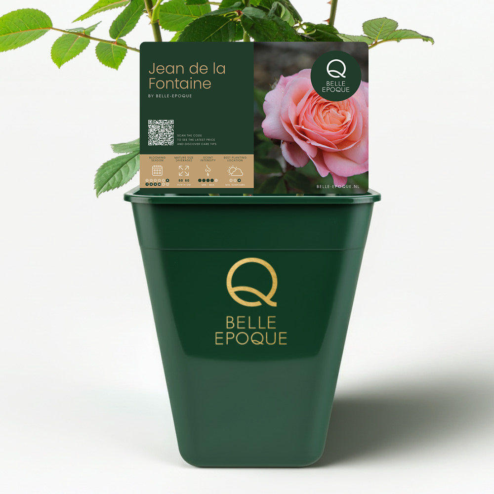 Jeane de la Fontaine (NEW 2026)