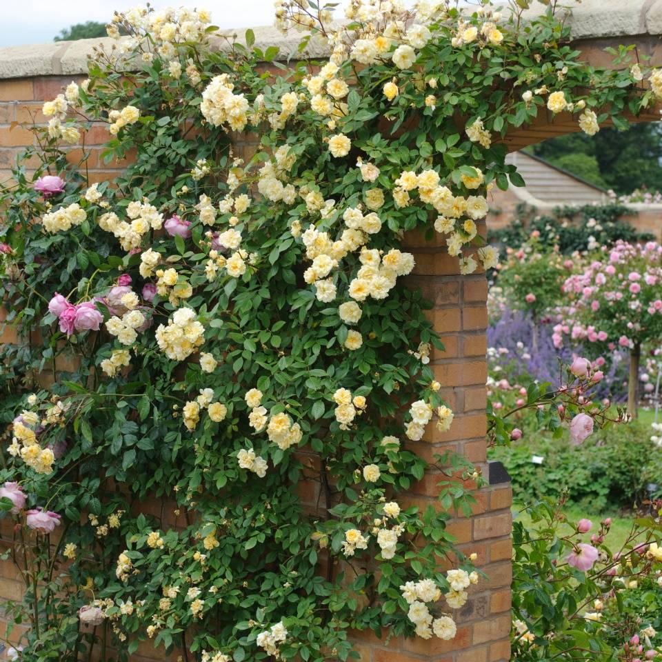 Malvern Hills (Auscanary)