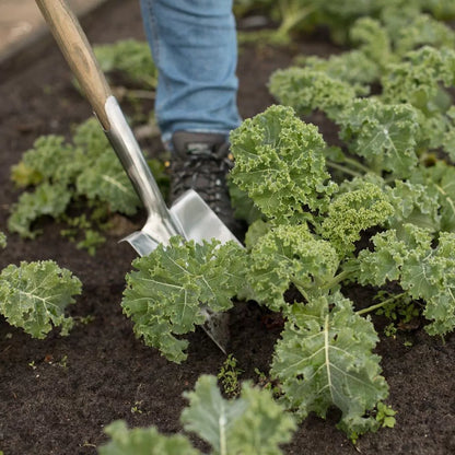 Dutch Garden Midi Spaten