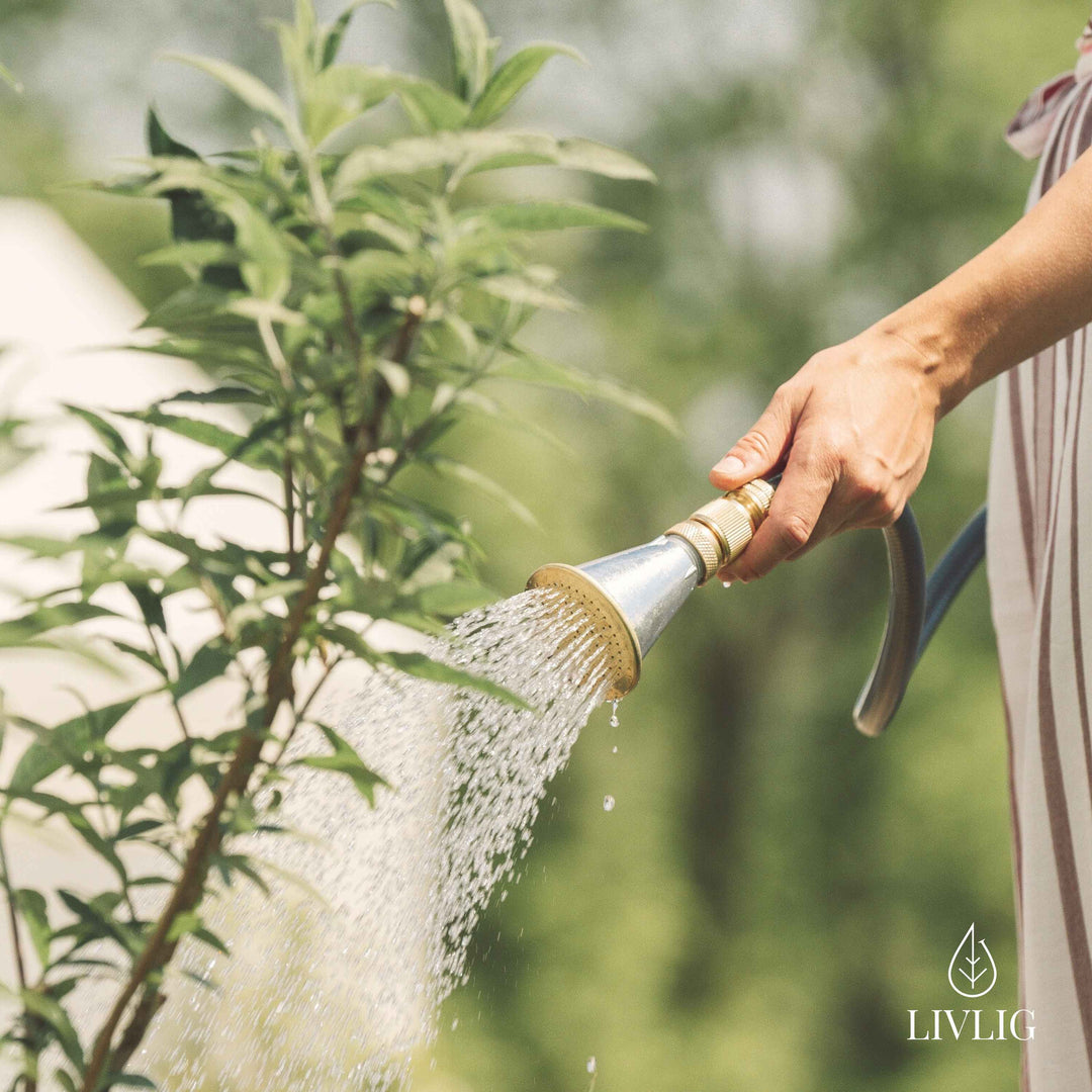 Metall-Blumensprüher – sanfte und gezielte Bewässerung für Rosen