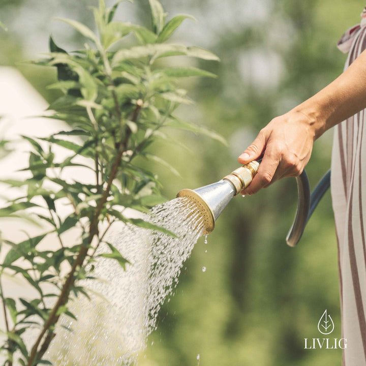 Metall-Blumensprüher – sanfte und gezielte Bewässerung für Rosen