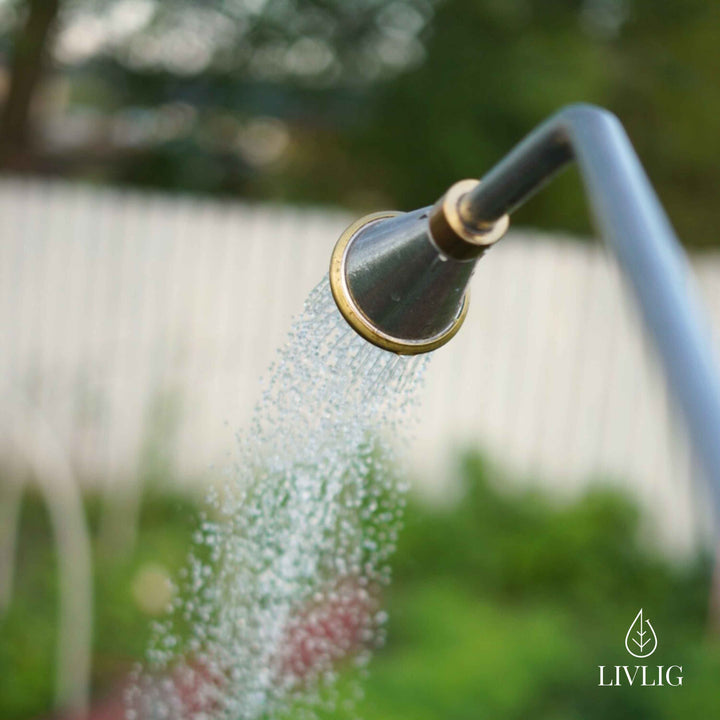 Sprühstab für Rosen – stilvolles und gezieltes Bewässern