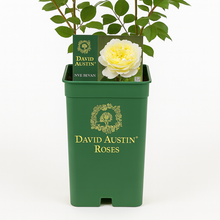 Nye Bevan (Auspital)