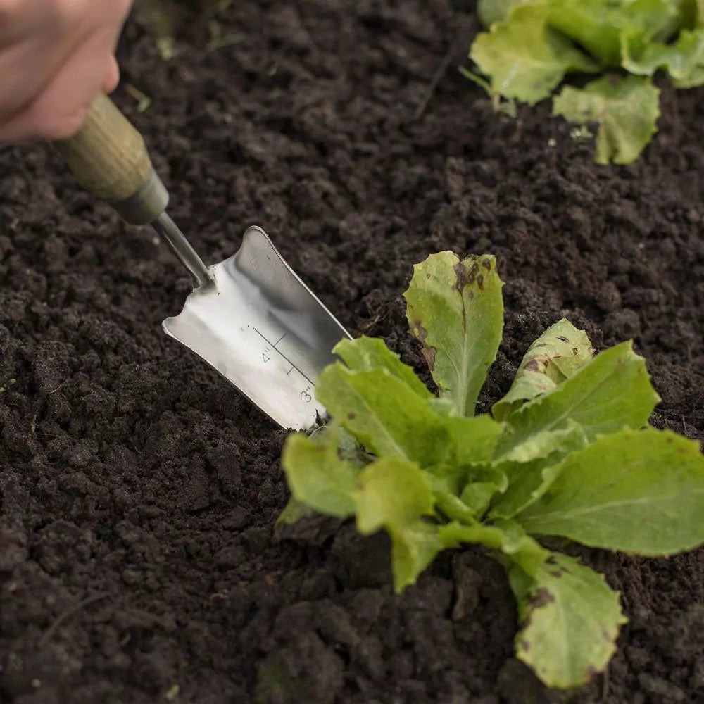 Dutch Garden Transplanting scoop (narrow)