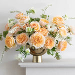 David Austin Beatrice (12 pieces)