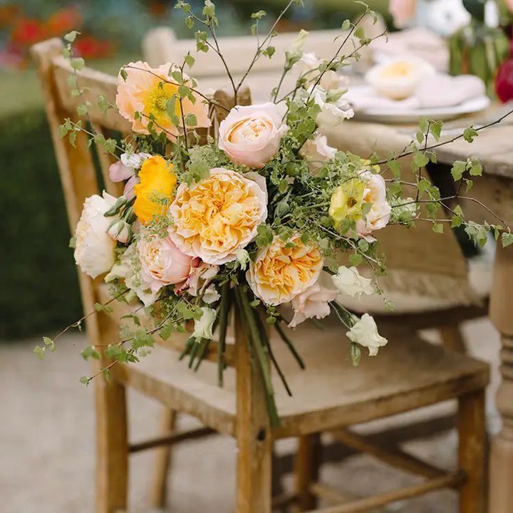 David Austin Beatrice (12 pièces)