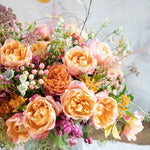 David Austin Edith (12 pieces)