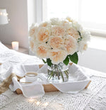David Austin Eugenie (12 pieces)