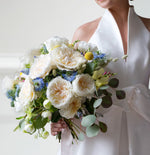 David Austin Eugenie (12 pieces)