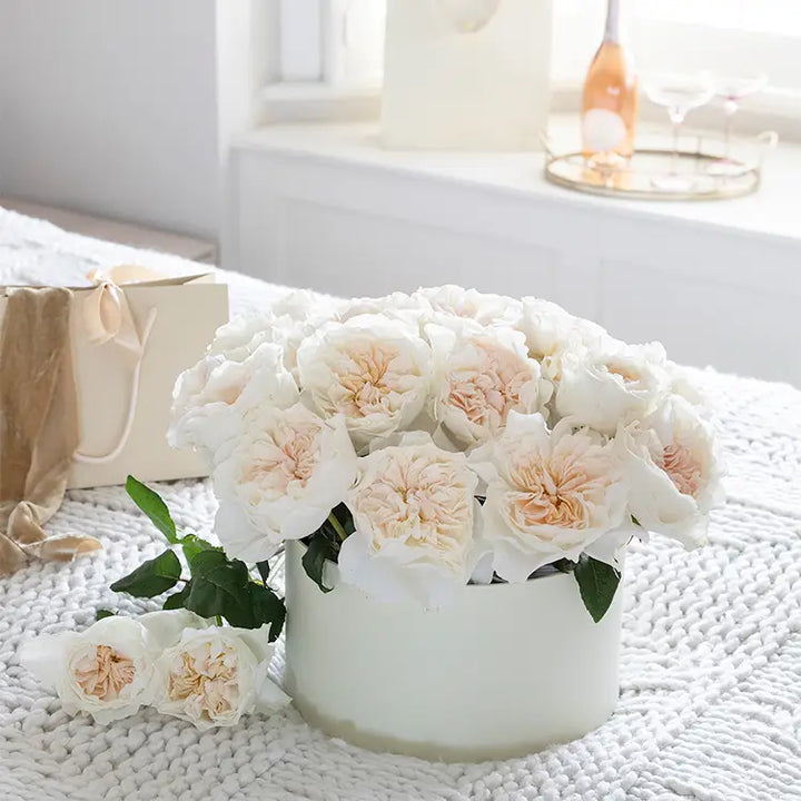 David Austin Eugenie (12stuks)