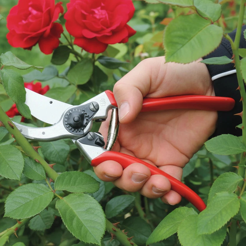Professionele snoeischaar Felco Maat L (2)