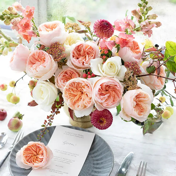 David Austin Juliet (12 pieces)