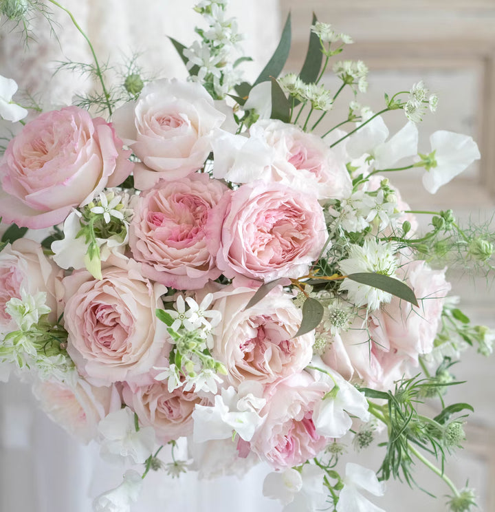 David Austin Keira (12 pieces)