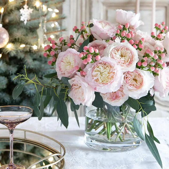 David Austin Keira (12 pieces)