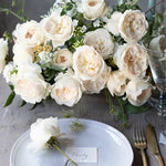 David Austin Purity (12 pieces)