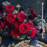 David Austin Tess (12 pieces)