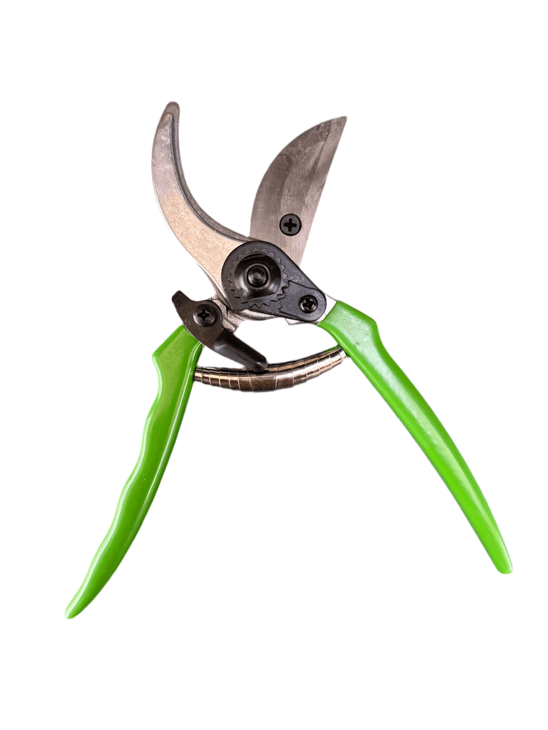 Snoeischaar Basic - Belle Epoque