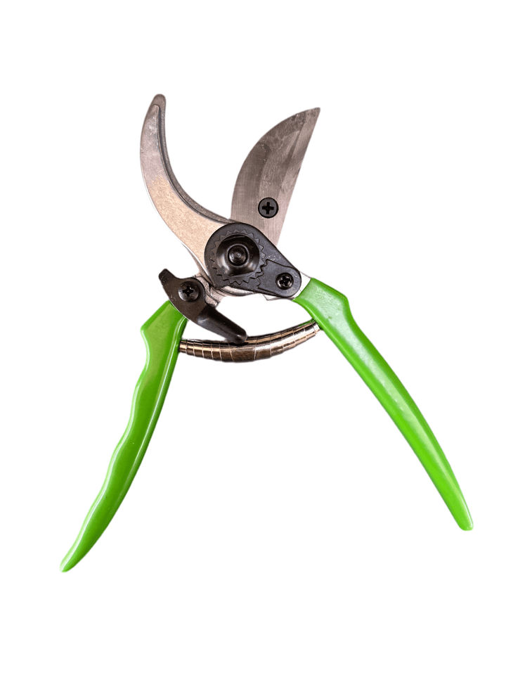 Snoeischaar Basic - Belle Epoque